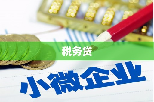 陇南税务贷