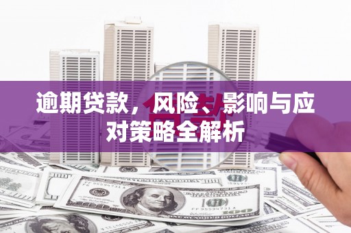 鹤庆逾期贷款，风险、影响与应对策略全解析