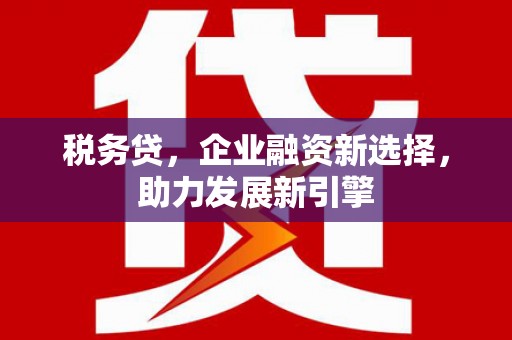 永州税务贷，企业融资新选择，助力发展新引擎