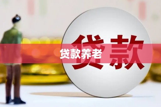 和静贷款养老