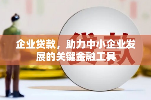 琼中企业贷款，助力中小企业发展的关键金融工具