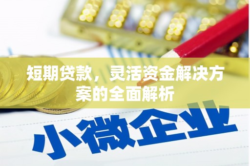 零陵短期贷款，灵活资金解决方案的全面解析