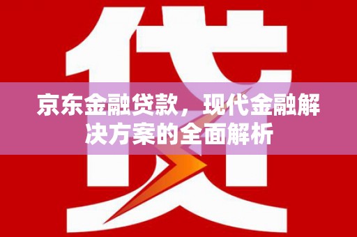 白云京东金融贷款，现代金融解决方案的全面解析