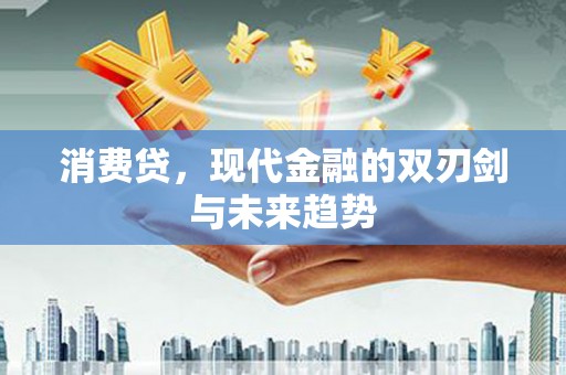 海淀消费贷，现代金融的双刃剑与未来趋势