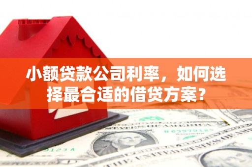 雷山小额贷款公司利率，如何选择最合适的借贷方案？