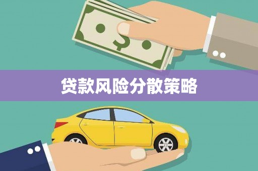 巴马贷款风险分散策略