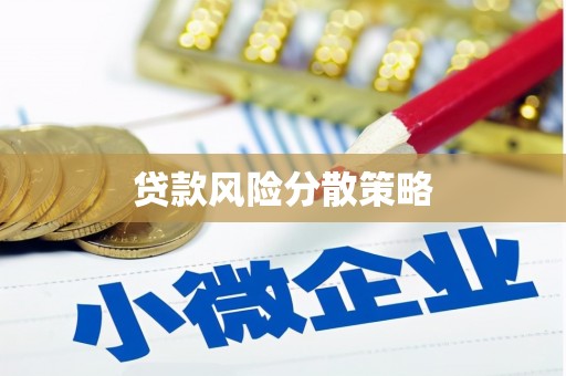 紫云贷款风险分散策略