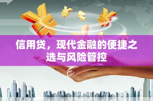 观山湖信用贷，现代金融的便捷之选与风险管控