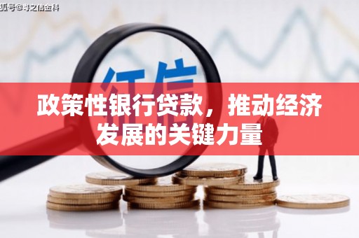 大树政策性银行贷款，推动经济发展的关键力量