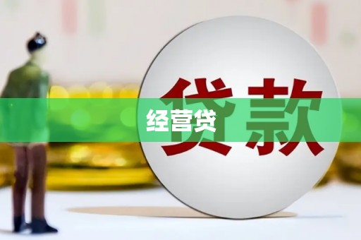 枞阳经营贷