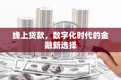 大丰线上贷款，数字化时代的金融新选择