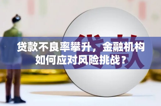 鱼池贷款不良率攀升，金融机构如何应对风险挑战？