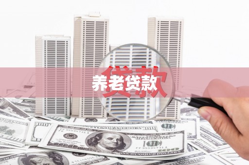银海养老贷款