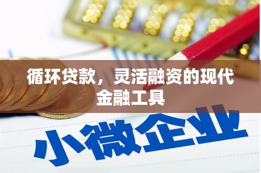 惠济循环贷款，灵活融资的现代金融工具