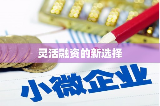 荔城灵活融资的新选择