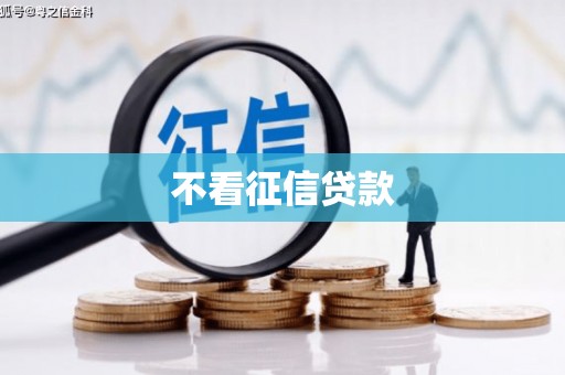 芒市不看征信贷款