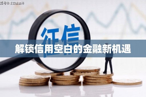 枋寮解锁信用空白的金融新机遇