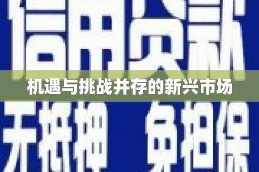 平顶山机遇与挑战并存的新兴市场