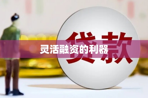巧家灵活融资的利器