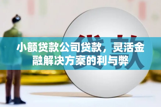 天水小额贷款公司贷款，灵活金融解决方案的利与弊