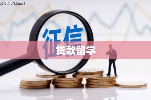 田林贷款留学